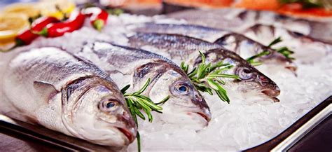 Poisson – Rive Bio