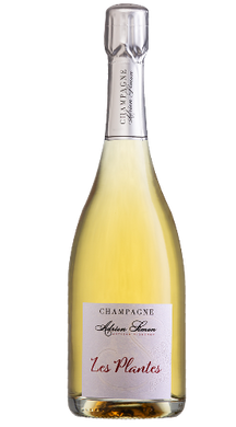 Champagne Extra Brut Les Plantes - 75cl