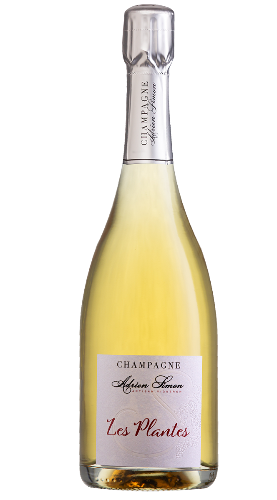 Champagne Extra Brut Les Plantes - 75cl