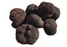 Charger l&#39;image dans la galerie, Brisures de truffe noire du Périgord - 20g