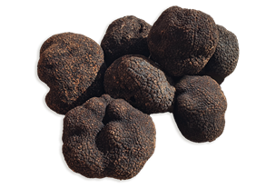 Brisures de truffe noire du Périgord - 20g