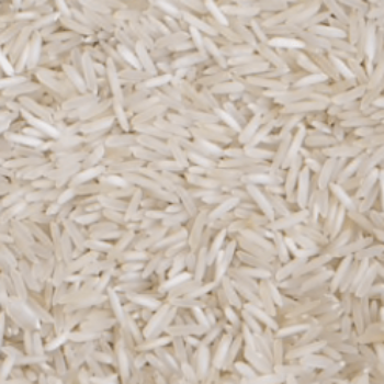 Riz long blanc de Camargue - 5kg