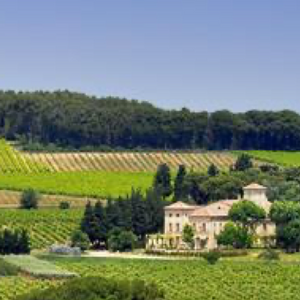 Vin Blanc Le Cotes-du-Rhône - 75cl