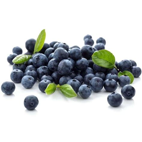Myrtilles Bio - Origine Espagne - barquette de 125g